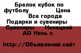 Брелок кубок по футболу Fifa 2018 › Цена ­ 399 - Все города Подарки и сувениры » Сувениры   . Ненецкий АО,Несь с.